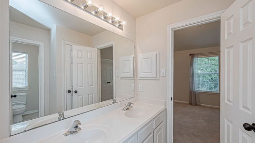 Houston 2-story, 4-bed 17323 Mesquite Brush Lane-idx