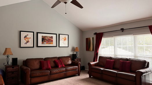 Houston 2-story, 4-bed 16343 Rainbow Lake Road-idx