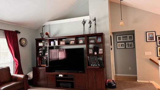 Houston 2-story, 4-bed 16343 Rainbow Lake Road-idx