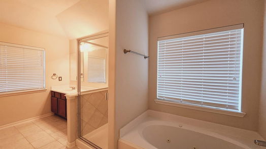 Houston 2-story, 4-bed 16915 Melvin Oaks Court-idx