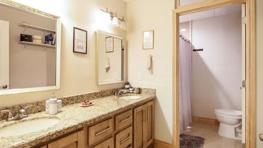 Houston 1-story, 4-bed 5803 Queensloch Drive-idx