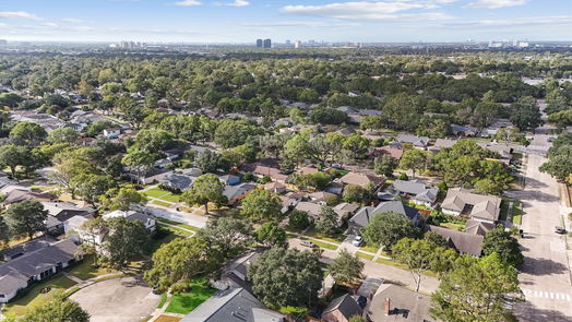 Houston 2-story, 4-bed 8903 Birdwood Court-idx