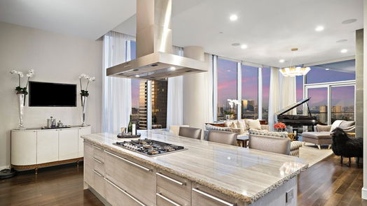 Houston null-story, 2-bed 2727 Kirby Drive 20B-idx