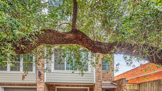 Houston 2-story, 1-bed 2633 Peckham Street 4-idx