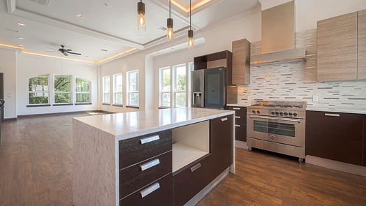 Houston 4-story, 4-bed 4120 Driscoll Street-idx