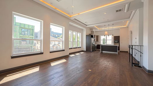 Houston 4-story, 4-bed 4120 Driscoll Street-idx