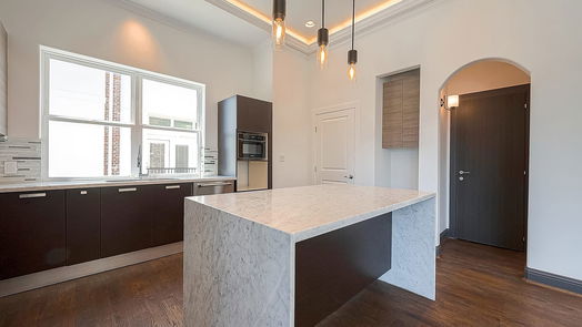 Houston 4-story, 4-bed 4120 Driscoll Street-idx