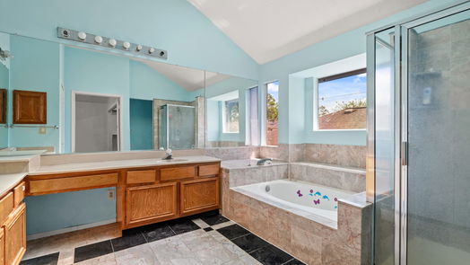 Houston 2-story, 5-bed 11750 Plumbrook Drive-idx