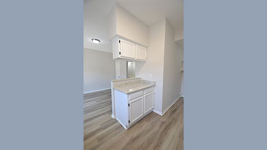 Houston 2-story, 2-bed 12500 Brookglade Circle 204-idx