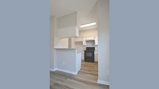 Houston 2-story, 2-bed 12500 Brookglade Circle 204-idx