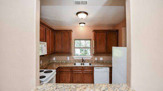 Houston 2-story, 7-bed 11106 Lewis Drive-idx