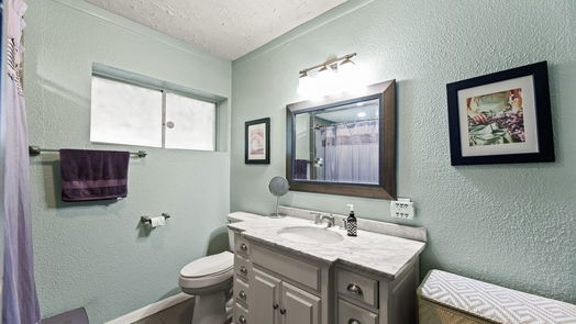 Conroe 1-story, 3-bed 1703 Shady Oaks Drive-idx