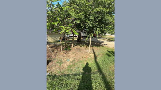 Conroe 1-story, 3-bed 516 Clinton Street-idx