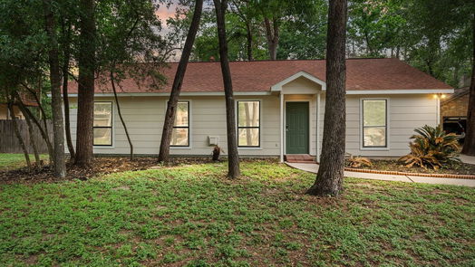 Conroe 1-story, 3-bed 11 Hancock Street-idx