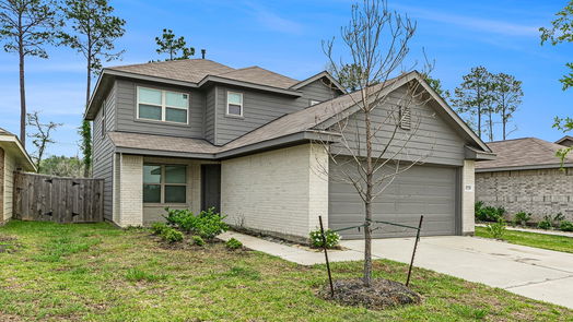 Conroe 2-story, 4-bed 3779 Solanum Drive-idx