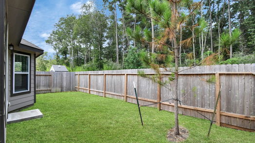 Conroe 1-story, 3-bed 2342 Raider Drive-idx