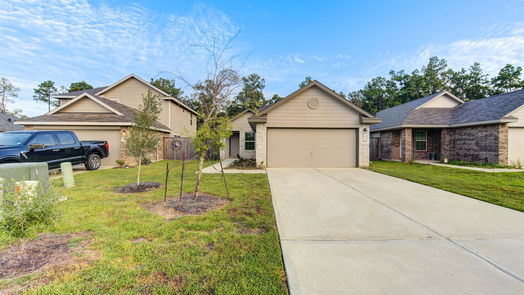 Conroe 1-story, 3-bed 3631 Solanum Drive-idx