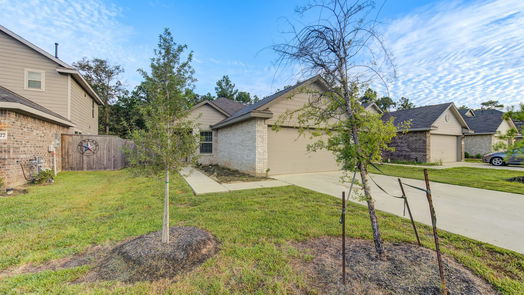 Conroe 1-story, 3-bed 3631 Solanum Drive-idx