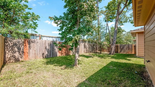 Conroe 1-story, 4-bed 809 N Katydid Court-idx