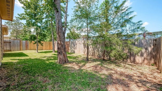 Conroe 1-story, 4-bed 809 N Katydid Court-idx