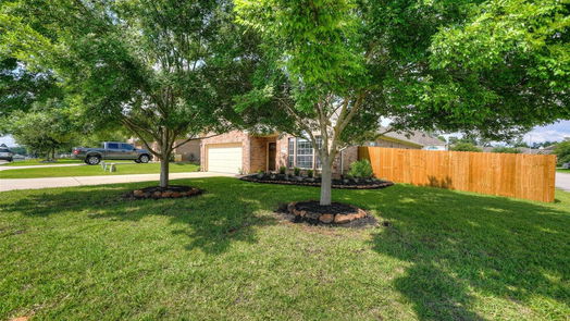 Conroe 1-story, 3-bed 2041 Borthwick Lane-idx