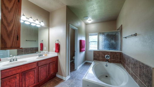 Conroe 1-story, 3-bed 2041 Borthwick Lane-idx