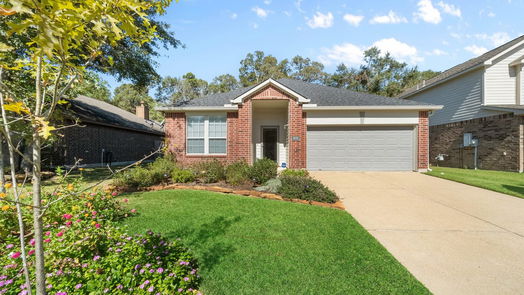 Conroe 1-story, 3-bed 975 Doire Drive-idx