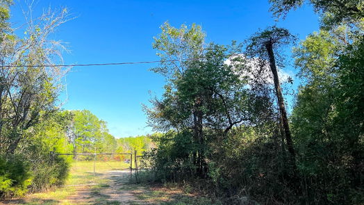 Conroe null-story, null-bed 15077 Dewberry Lane-idx