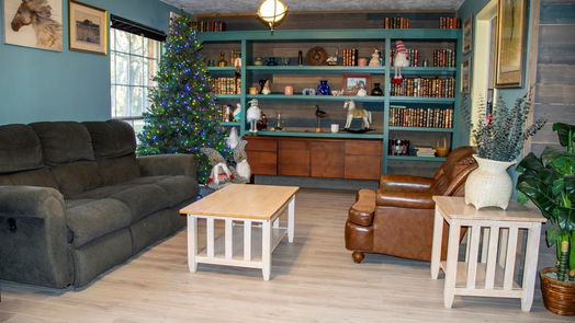 Conroe 1-story, 3-bed 596 Macon Park-idx