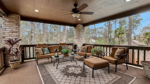 Conroe 2-story, 3-bed 550 Peachtree Park-idx