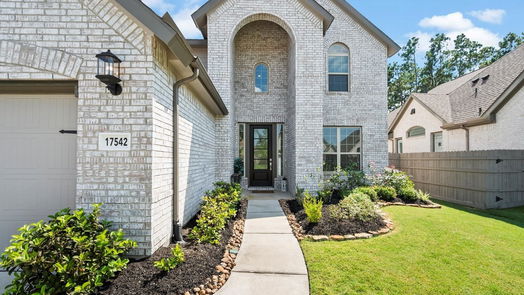 Conroe 2-story, 4-bed 17542 Sunset Skies Road-idx