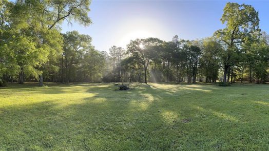 Conroe 1-story, 3-bed 14974 East Drive-idx