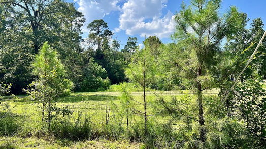 Conroe null-story, null-bed TBD Block 3, Lot 16-idx