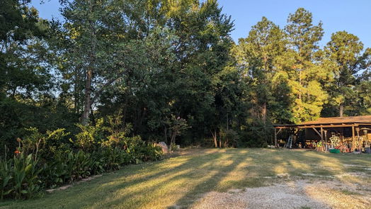 Conroe 1-story, 2-bed 13268 Mccomb Road-idx