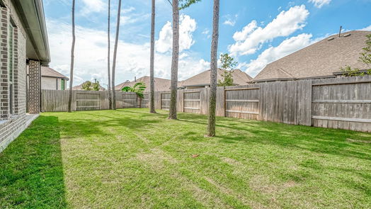 Conroe 1-story, 3-bed 17192 Wild Robin Lane-idx