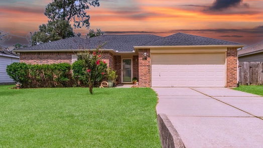 Conroe 1-story, 3-bed 16311 Long Valley Court-idx