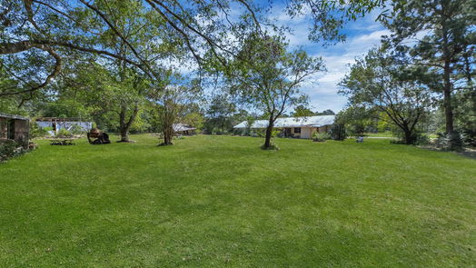 Conroe 1-story, 3-bed 15847 Dewberry Lane-idx