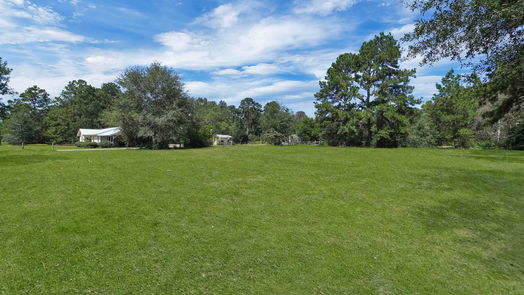 Conroe 1-story, 3-bed 15847 Dewberry Lane-idx