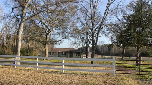 Conroe 1-story, 3-bed 10412 Ehlers Road-idx