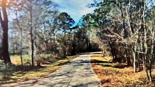 Conroe null-story, 3-bed 11482 Long Drive-idx