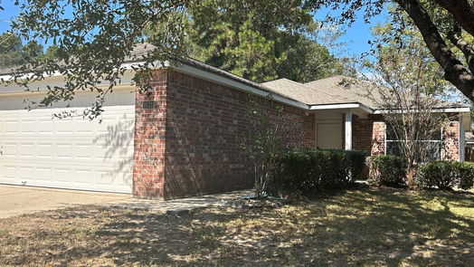 Conroe 1-story, 4-bed 16319 Many Trees Lane-idx