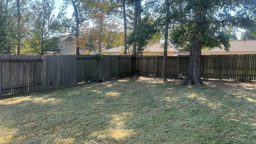 Conroe 1-story, 3-bed 16320 Sun View Lane-idx