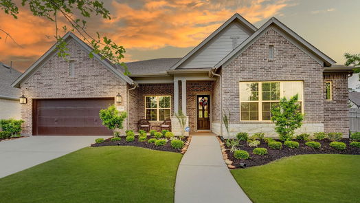 Conroe null-story, 4-bed 17404 Violet Vineyard Street-idx