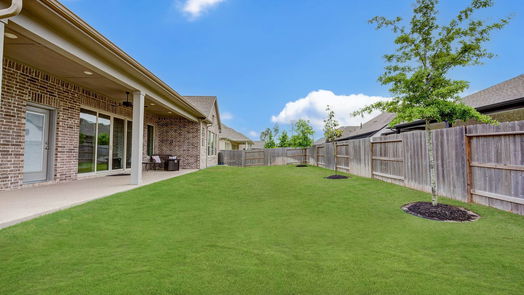 Conroe null-story, 4-bed 17404 Violet Vineyard Street-idx