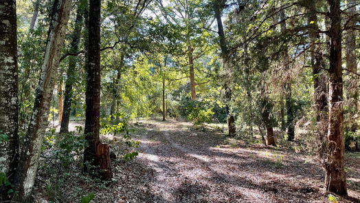 Conroe 1-story, null-bed 11451 White Road-idx