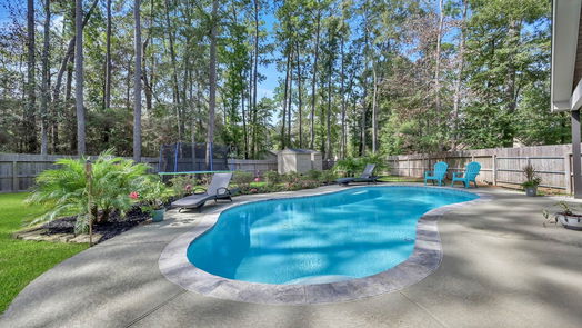 Conroe 1-story, 3-bed 12919 Royal Shores Drive-idx
