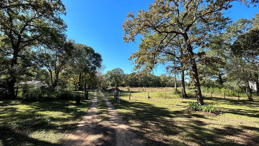 Conroe 1-story, 3-bed 8086 Adcock Acres Drive-idx