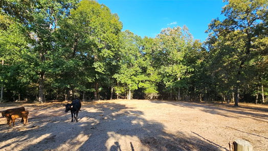 Conroe null-story, 3-bed 12342 Ike White Road-idx