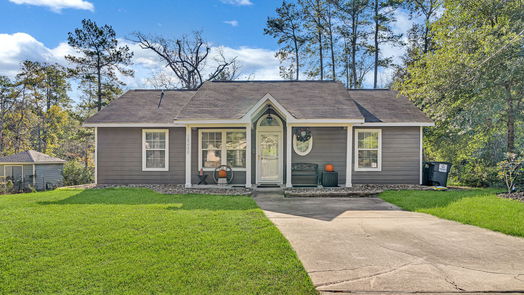 Conroe 1-story, 3-bed 10648 Royal York Drive-idx