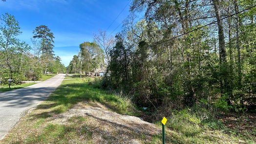 Conroe null-story, null-bed Lot 77-B Royal Lake Drive-idx